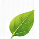 Green leaf icon representing eco-friendliness
