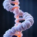 Collagen molecular structure